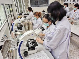 โลโก้มหาวิทยาลัยเทคโนโลยีสุรนารี (SUT)