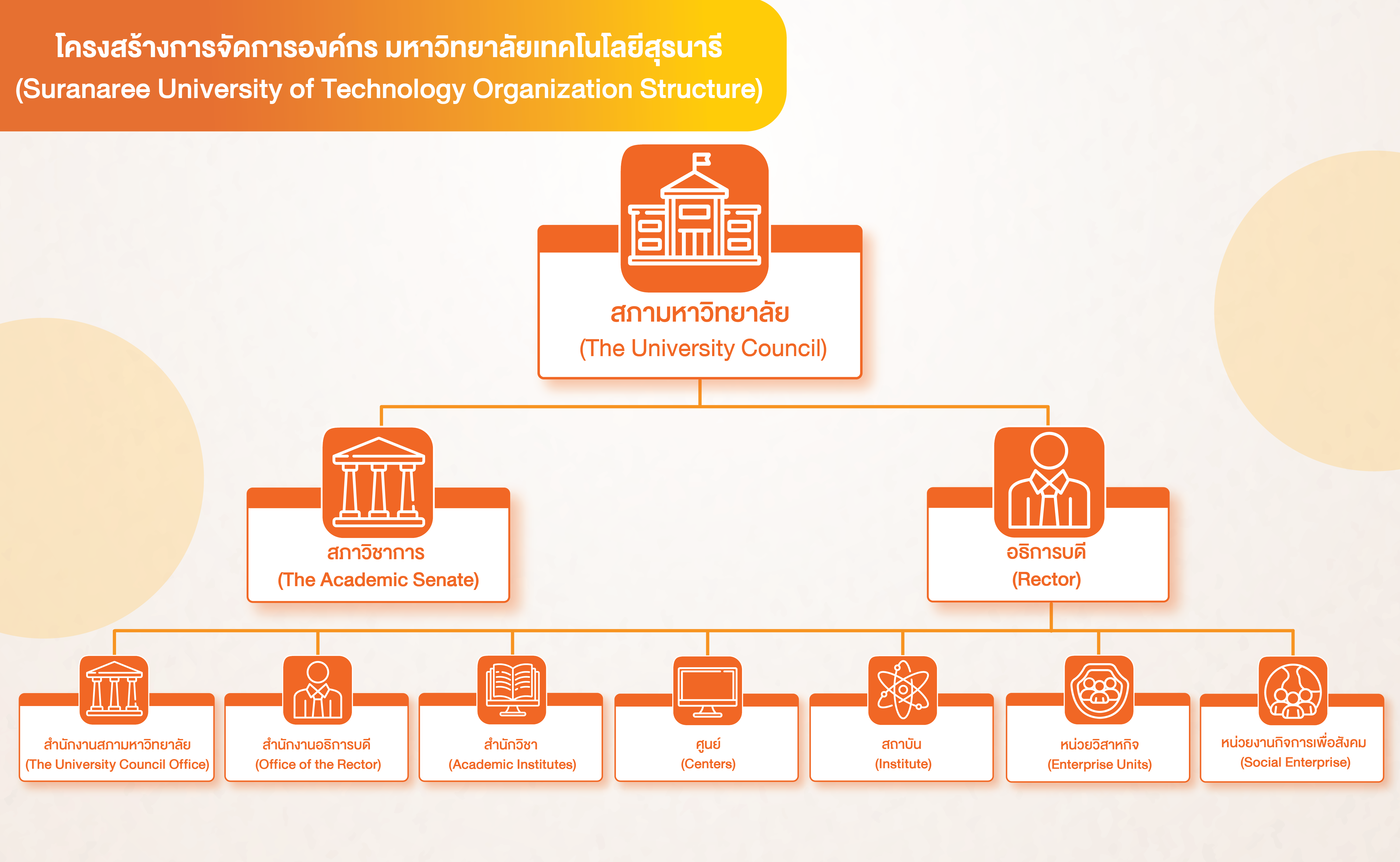 โครงสร้างองค์กร (1)
